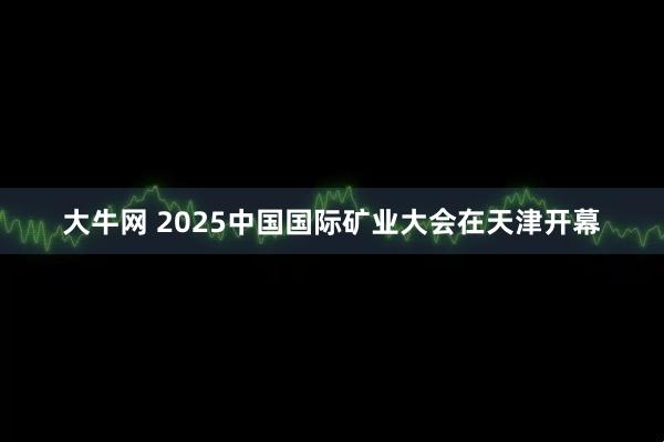大牛网 2025中国国际矿业大会在天津开幕